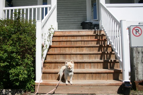 Auberge Presbytere Mont Lac-Vert image 27